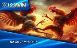 Giới thiệu về Đá Gà Campuchia tại 123Win