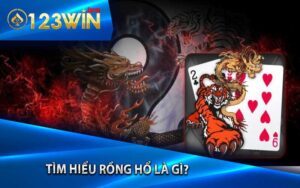 Tìm hiểu rồng hổ là gì?